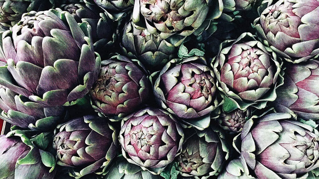 Artichoke Extract