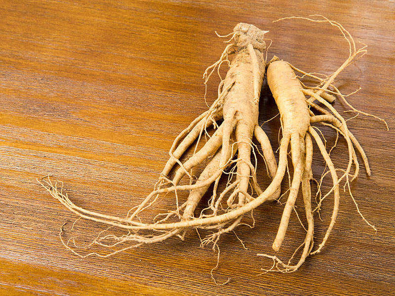 Panax Ginseng